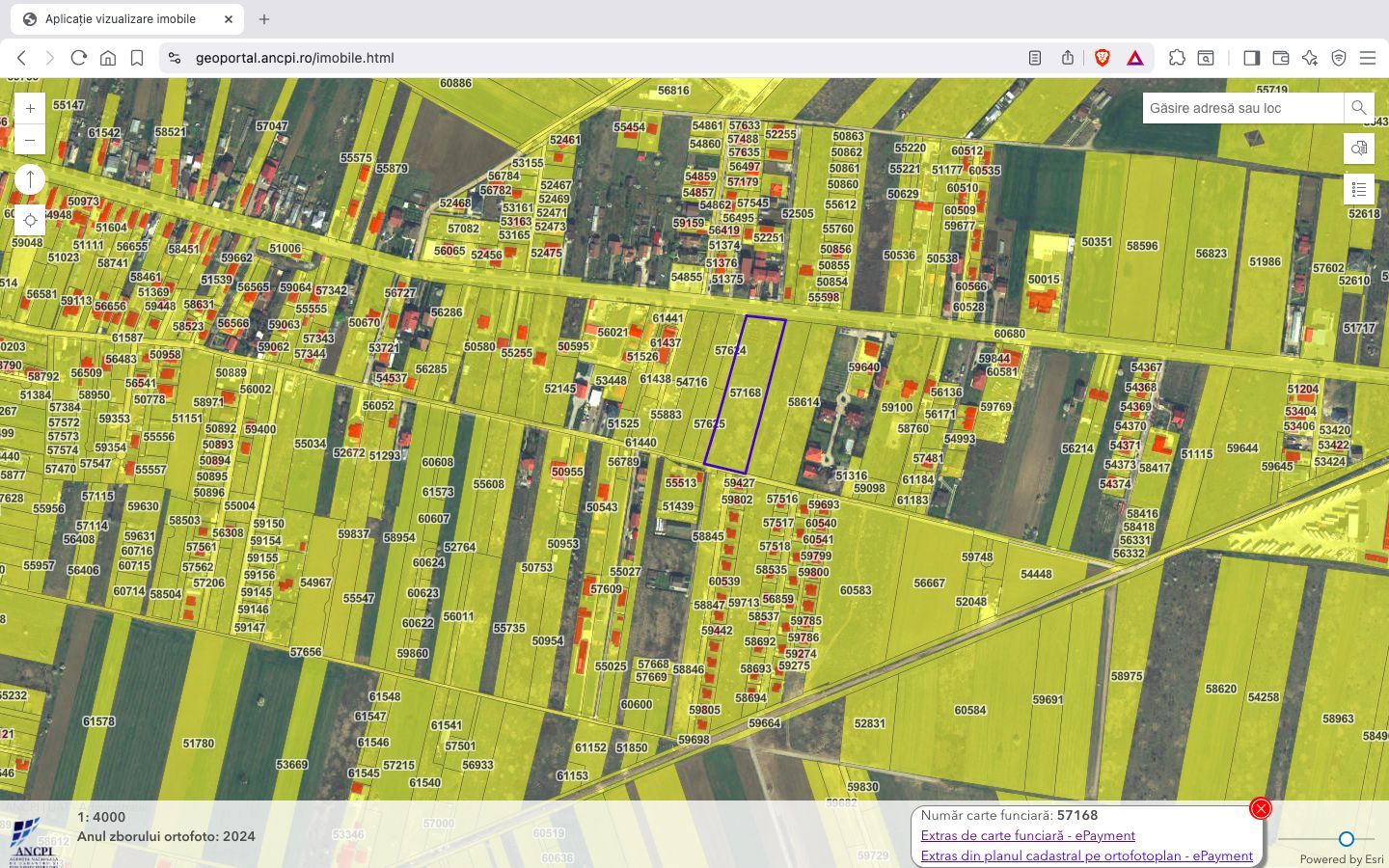 Teren intravilan construibil 7.500 mp Ciorogarla Ilfov - Poză 3