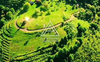 CASĂ și TEREN 85.000 mp – Casa părintească Părintele Arsenie Boca - Poză 3