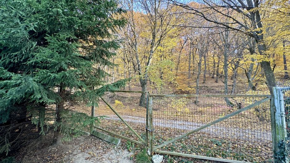 Vilă individuală de vânzare în Râșnov, Zona Primăverii | Natură și Confort - Poză 8