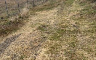 Casă cu 4 camere în Bogonos, Letcani - 80 mp construiți, teren 800 mp - Poză 3