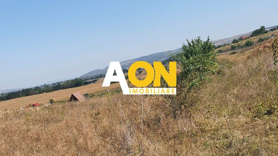 Oportunitate investitie. Oarda de Jos, 16 parcele de 490 mp - Poză 4