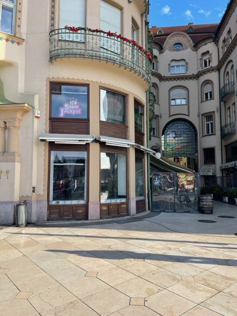 Chirie Ultra-central Oradea – spațiu HoReCa în Pasajul Vulturul Negru - Poză 6