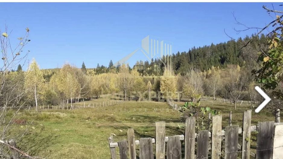 TEREN INTRAVILAN 2100 MP, LERESTI, PRET 42000 EURO - Poză 1