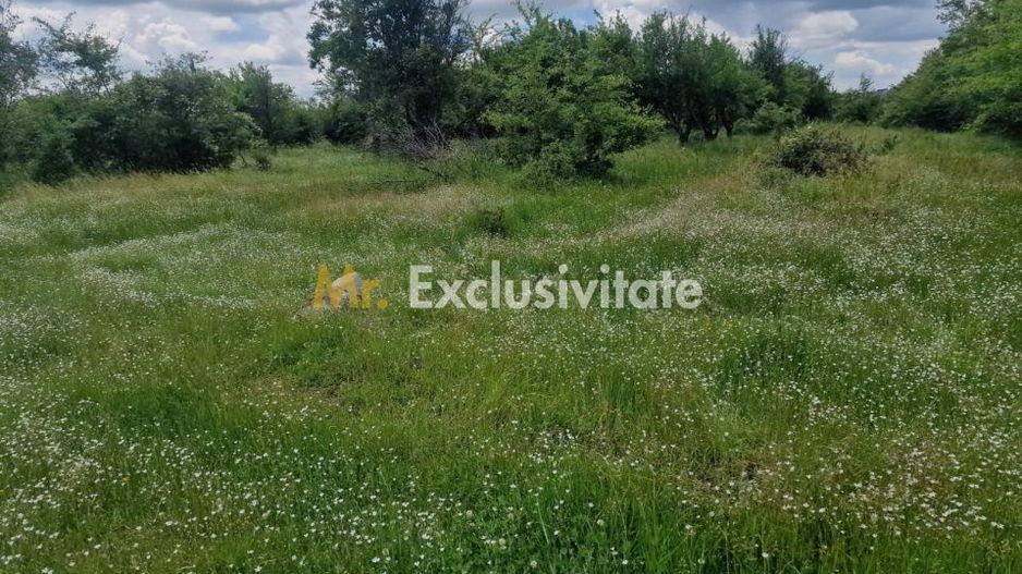 0% Comision!!! Teren intravilan Smeura - str Prunilor! - Poză 5