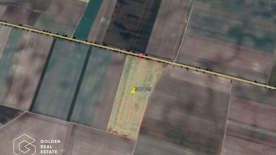 11 ha teren extravilan la DN 7 Seitin-Nandlac. Oportunitate de investitie! - Poză 2