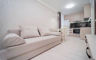 Vânzare, apartament, 1 cameră, strada Nicolae Dimo, Râșcani - Poză 3