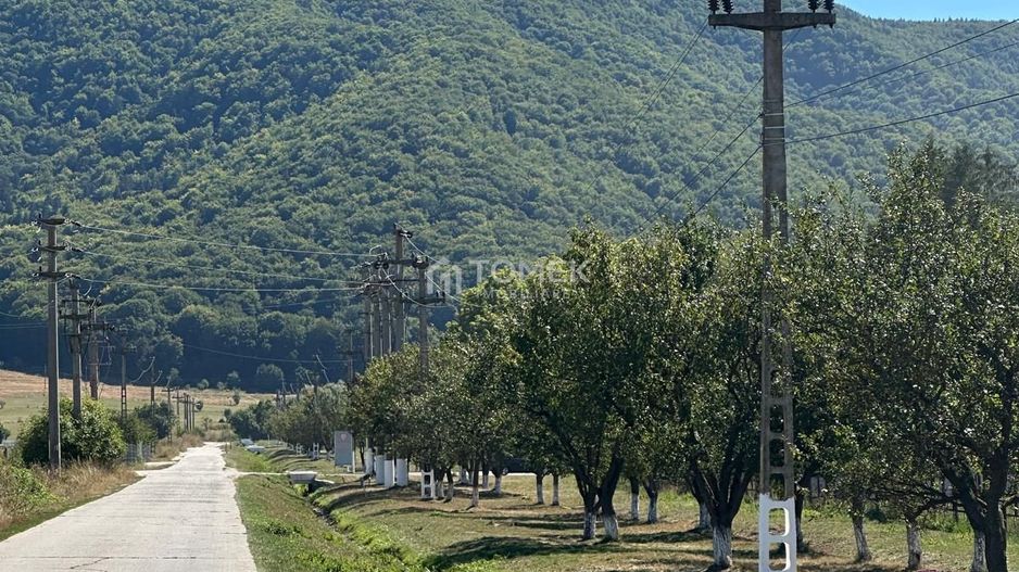 Teren industrial,Cucului-INA-Avicola - Poză 8