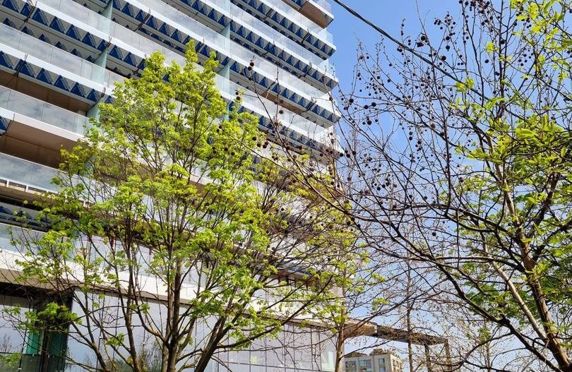 Vânzare, apartament, 3-4 camere, One Herăstrău Vista, București - Poză 9