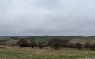 Teren agricol - Poză 3