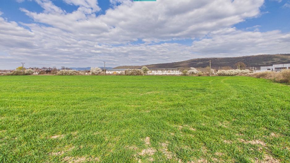 Teren extravilan, 1 ha, în orașul Sebiș, Arad - Poză 1