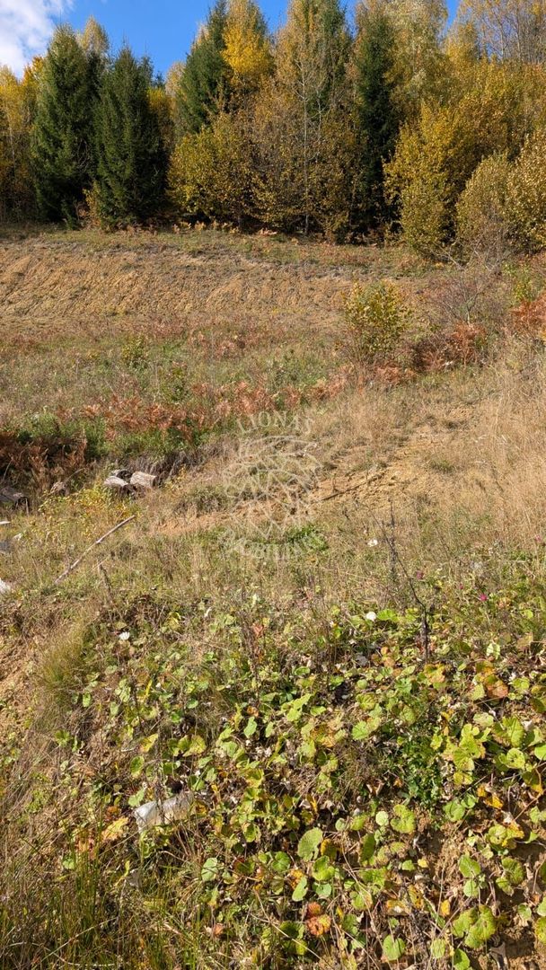 Teren intravilan 1000 mp-ideal cabana, investitie-Colibita - Poză 2