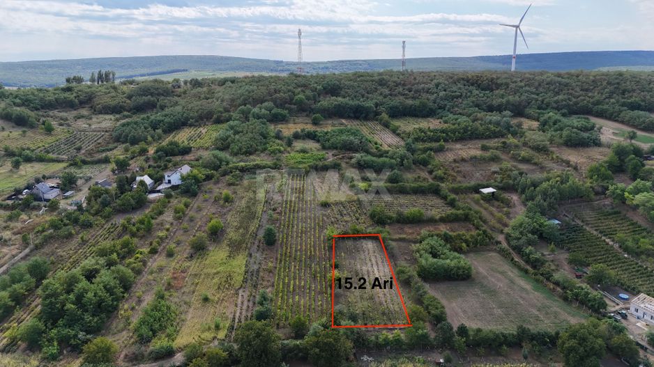 Teren de vânzare – 15 ari în Nimoreni, r-nul Ialoveni - Poză 2