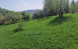 Langa emblematicul Castelul Bran, in areal colinar, 5.700mp intravilan - Poză 15
