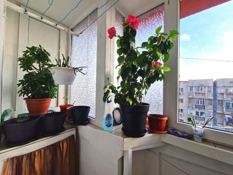 Apartament 4 Camere | 13 Septembrie | Sebastian | mobilat si utilat | - Poză 13