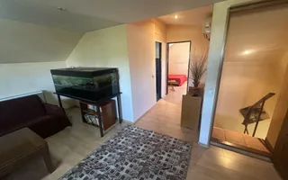 PANTELIMON, APARTAMENT-VILA 1E+M 230 MP, CURTE 516 MP! - Poză 33