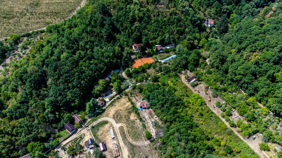 PROPRIETATE VÂNDUTĂ Casă conac cu 15.000 mp deal împădurit la Barațca, - Poză 13