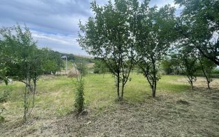 6.000 mp intravilan sat Avintu - Poză 3