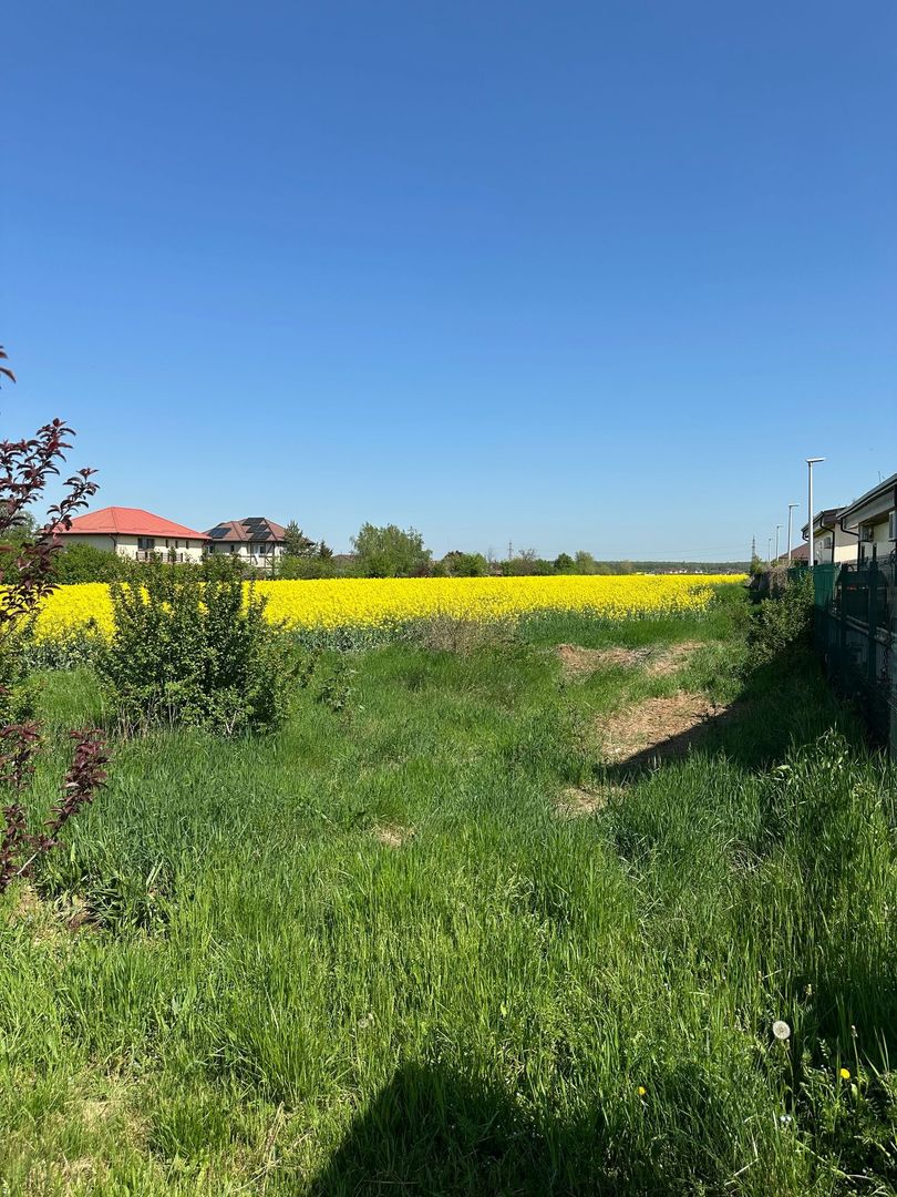 Teren intravilan 26.300 mp Saftica Balotesti-  PUZ în lucru - Poză 16