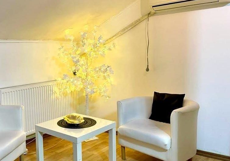 Vila-Timisoara -aleea Ghirodei-comision zero - Poză 7