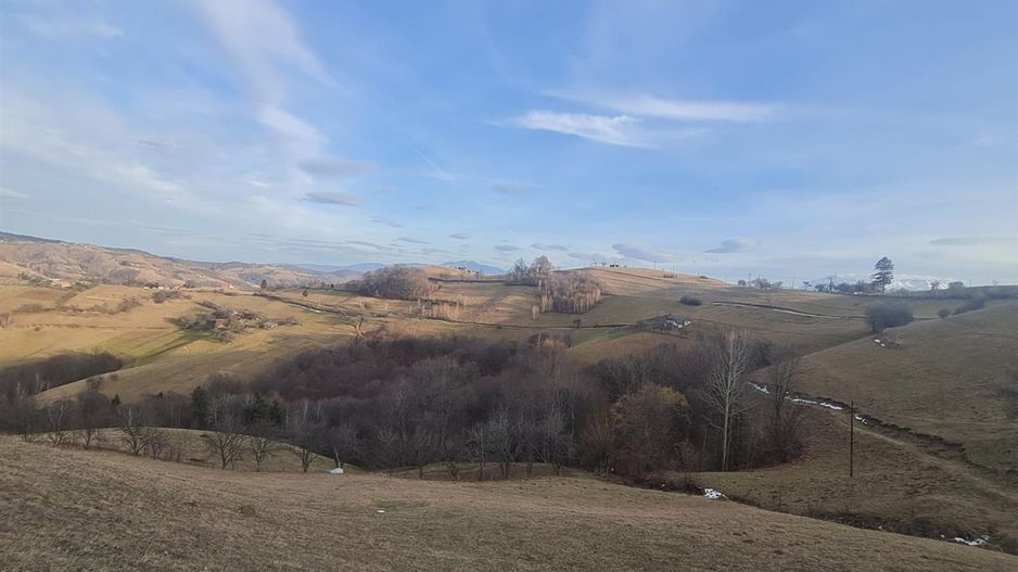 Oaza de liniste si frumusete, reconectare cu natura, 16.000 mp, Poiana Marului - Poză 14