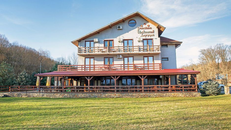 Pensiune, teren 4.460 mp, Hidișelul de Jos, Bihor. 685.000 Euro (neg). - Poză 3