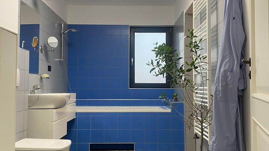 Vila Sinanadrei - Poză 9