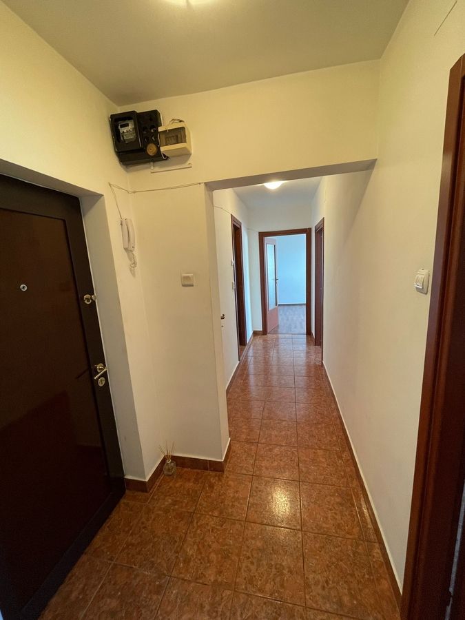 Apartament Banu Manta // Titulescu - Poză 5