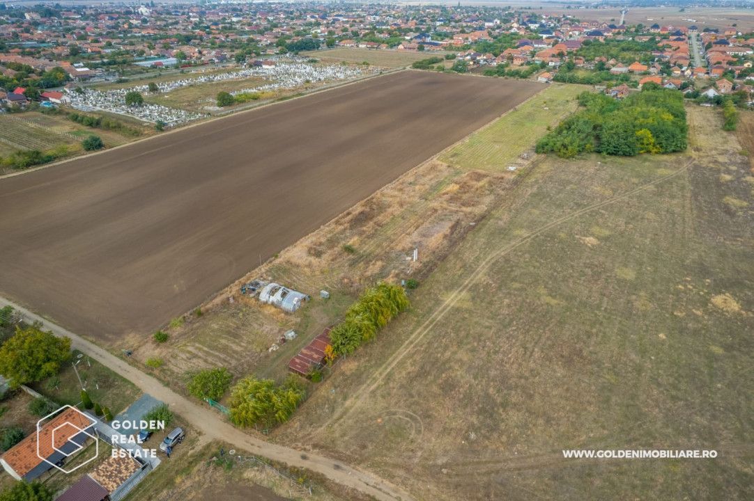 Teren intravilan, 14900 mp, Curtici - Poză 7