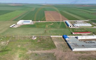 Tariverde - Ferma zootehnica functionala, 3 hectare teren intravilan! - Poză 4