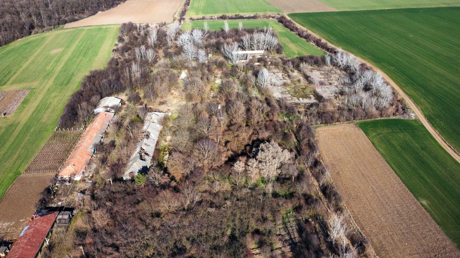 Ferma si livada de meri in judetul Ilfov - Poză 1