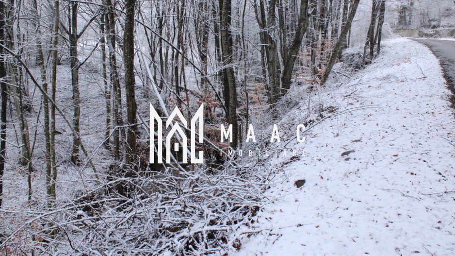 Teren cu izvor de apă minerală  Dangești, Punctul Valea Mare - Poză 21