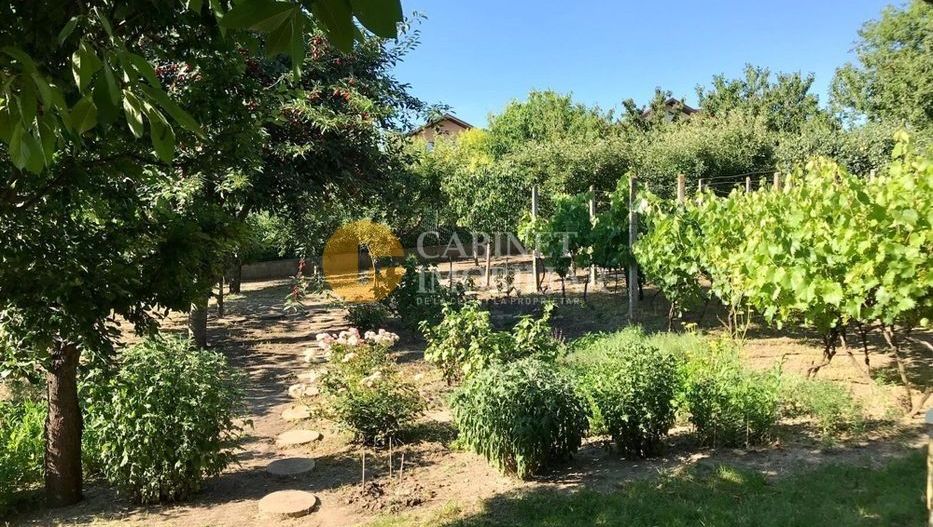 Proprietate deosebită în Aroneanu – 2 case pe teren generos de 1209 mp - Poză 5