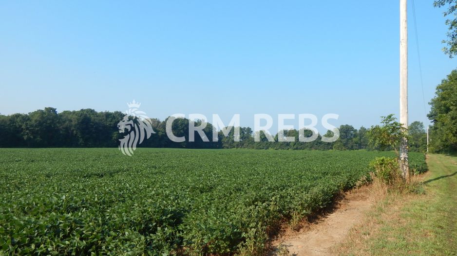 Teren cu PUZ de vanzare in Grigorescu - Poză 2