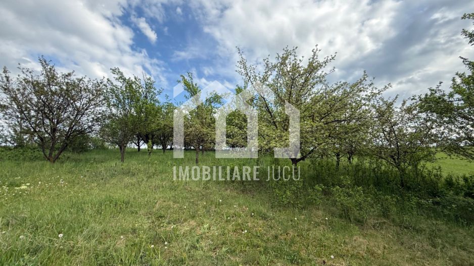 Teren intravilan construibil – 2.100 mp | Căianu - Poză 7