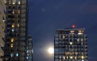 Apartament  Asmita Gardens // Delta Văcărești