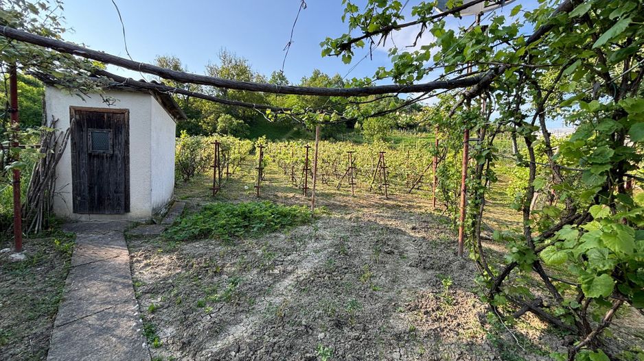 Casa de vanzare Com. Sanduleni, Bacau - Poză 10