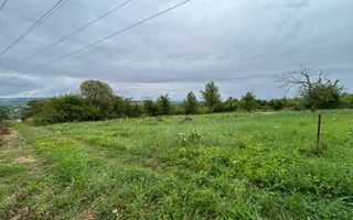 Teren intravilan de vânzare în Daia Nouă – 1.000 mp - Poză 1