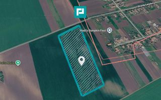 Teren de 8600 Mp2, agricol extravilan, Mailat - Poză 2