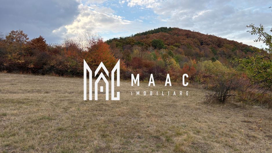 Teren de vânzare 5.000 mp | Poplaca | lângă pădure - Poză 3