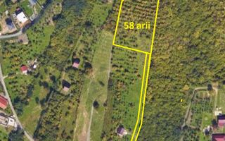 Teren 58 arii cu deschidere la drumul principal – Miron Costin - Poză 1