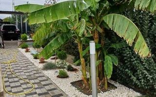 🏡 Vând casă modernă în Dumbrăvița – zonă liniștită - Poză 5