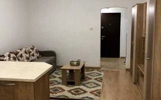 Apartament 1 camera, 30 mp, recent renovat, zona Profi - Poză 1