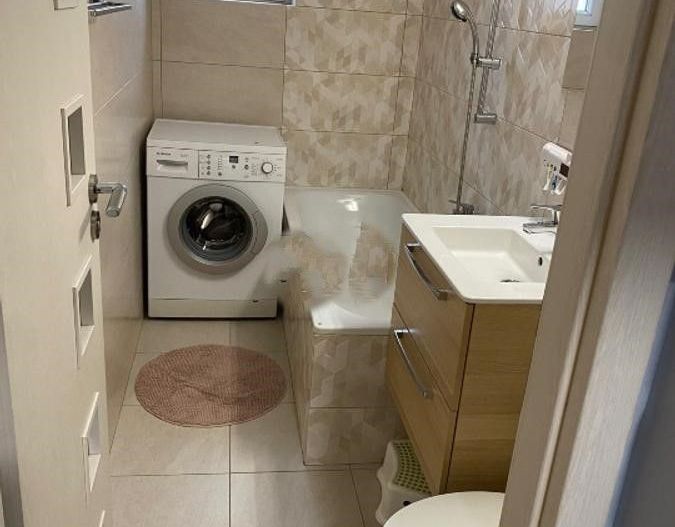 Apartament 3 camere zona Basarabiei - Costin Georgian - Carei - Poză 3