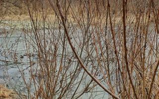 Teren, zona Cârțișoara!! - Poză 4