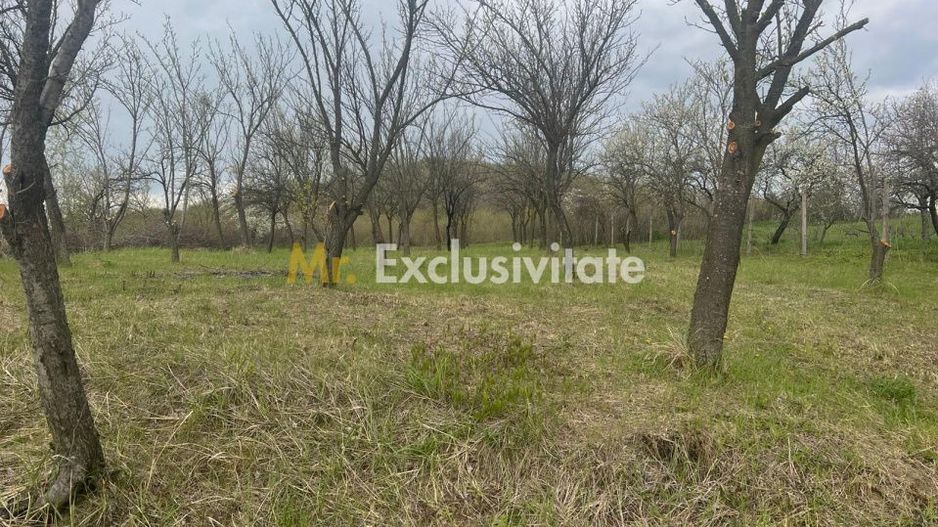 Teren intravilan 2.200 mp cu constructie existenta –Calinesti- Vranesti-Arges! - Poză 2