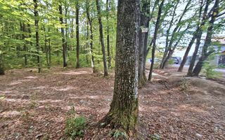 Ocazie!! Vanzare teren - padure, toate utilitatile, Balotesti - Poză 3