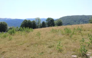Terenuri Carpinis I parcelabil I Curent pe proprietati - Poză 22
