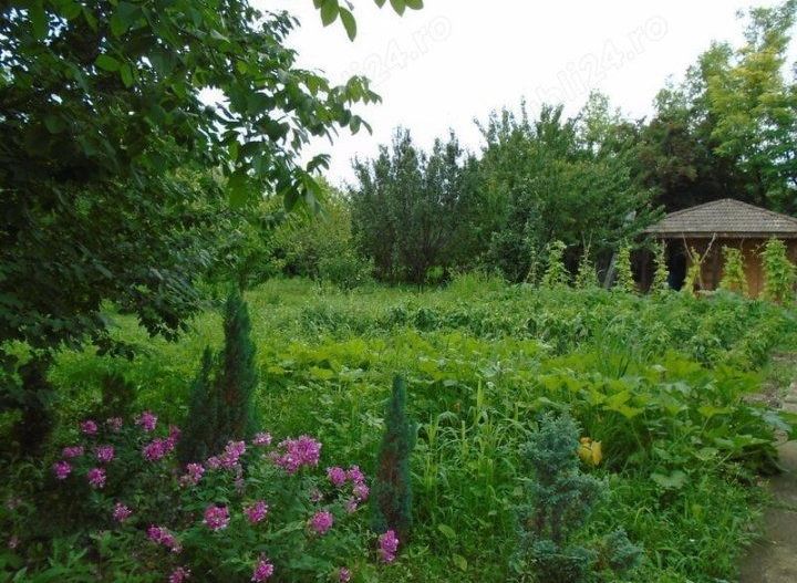 Casa de vanzare |Nuci, Balta Neagra, la 25 de minute de București - Poză 9