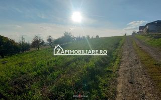 Teren intravilan 2248 mp - Nazna - Poză 8