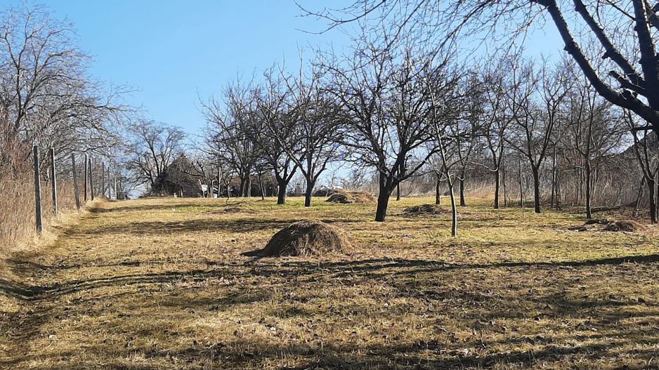 Teren de vanzare in Turda - Poză 4